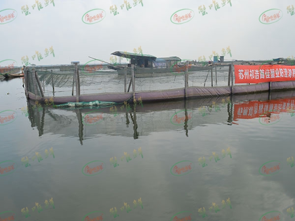 养殖基地