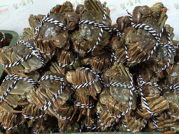 大闸蟹